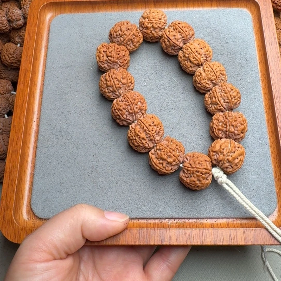 菩提菩提25号尼泊尔大金刚24满肉六瓣梅花