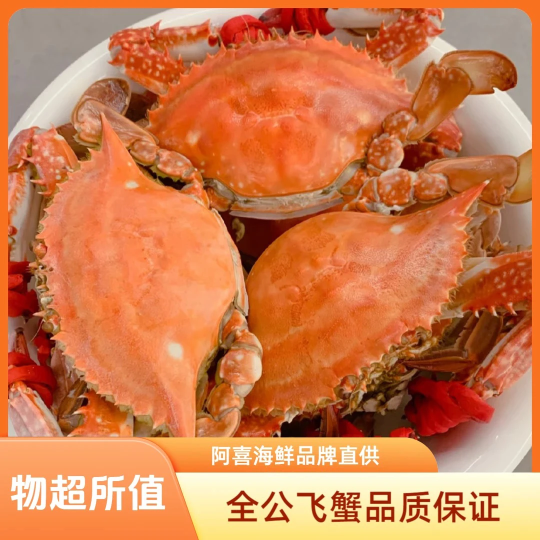 阿喜海鲜清蒸全公飞蟹50/2斤（到手5只）（平均个头4两左右）