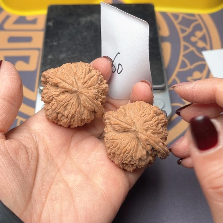 文玩核桃把件42白狮子