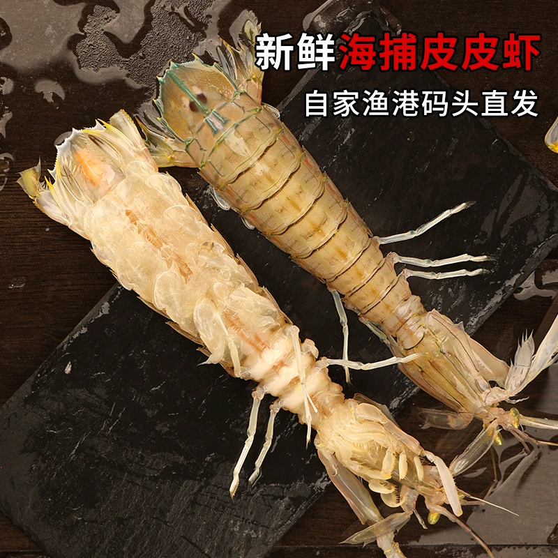 皮皮虾超大鲜活蒸熟冷冻赖尿虾虾姑爬爬虾