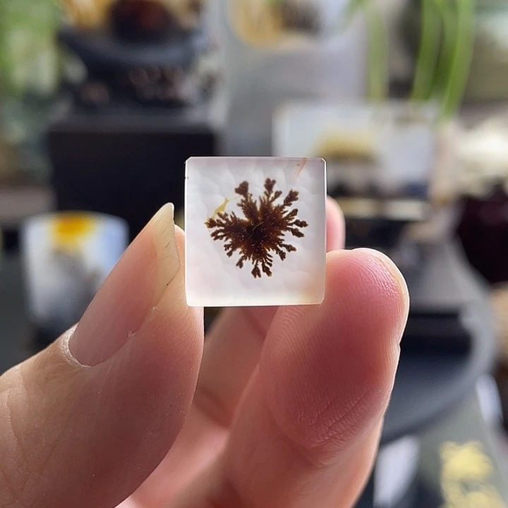 玛瑙/玉髓未镶嵌珠宝半成品