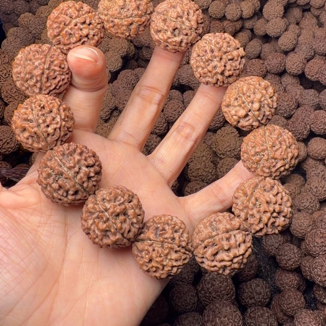 金刚菩提手串8瓣卡24尺，121号