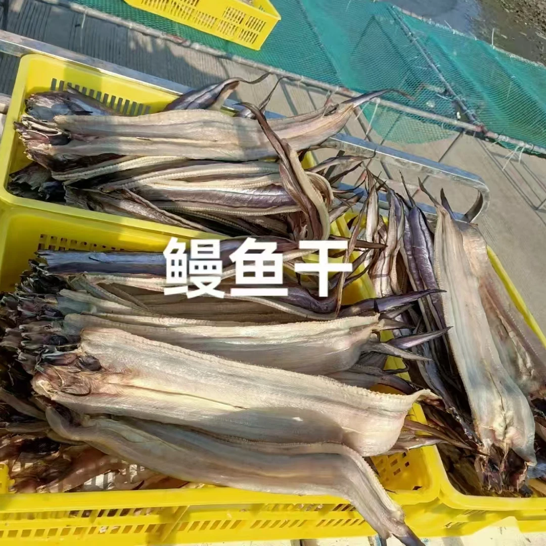 外罗渔港渔民自晒野生小鳗鱼干（0.5-1斤/条）