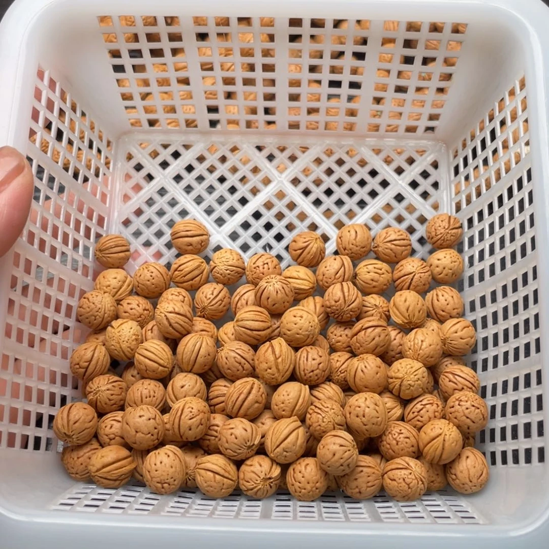 【闪购商品】冲**界散子发货60米