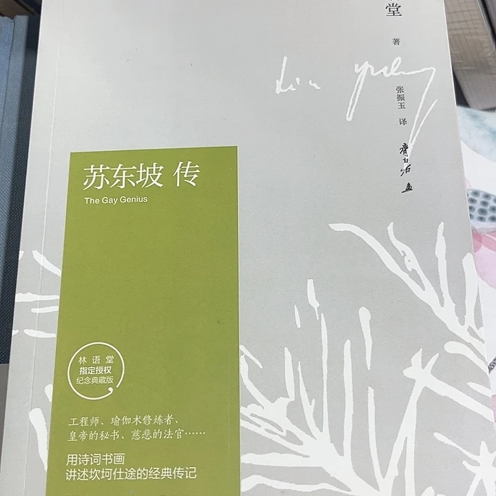 苏东坡传全新推荐