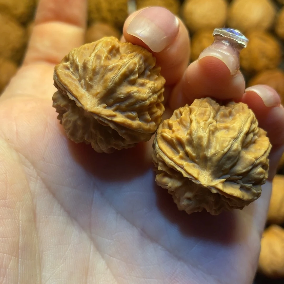 森***子文玩核桃把件修尖