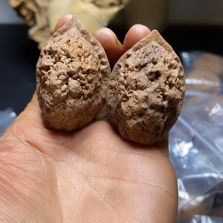 把件文玩核桃云南铁核桃基地49
