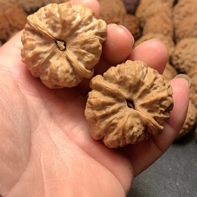 【闪购商品】牛*哥蛤蟆