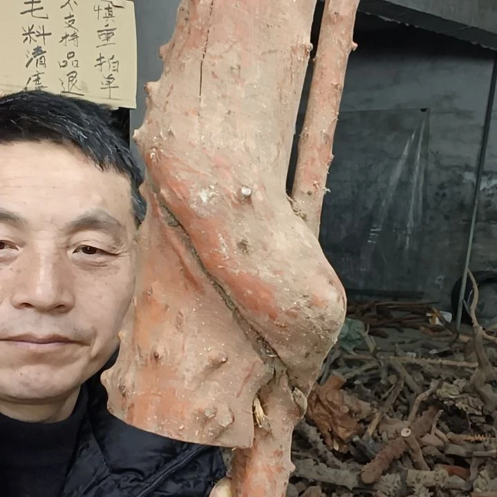稳定木用****3贵州檬子木   铁马鞭   根艺  半成品