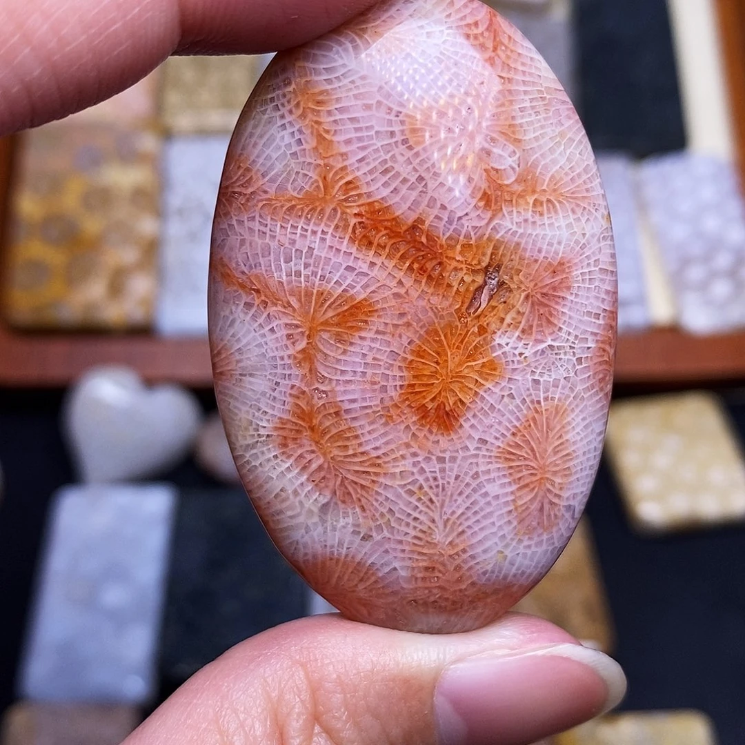 硅化玉珠宝奇石合金榎*肸