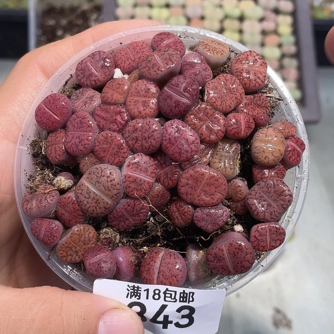 当天凑满十八元包邮343