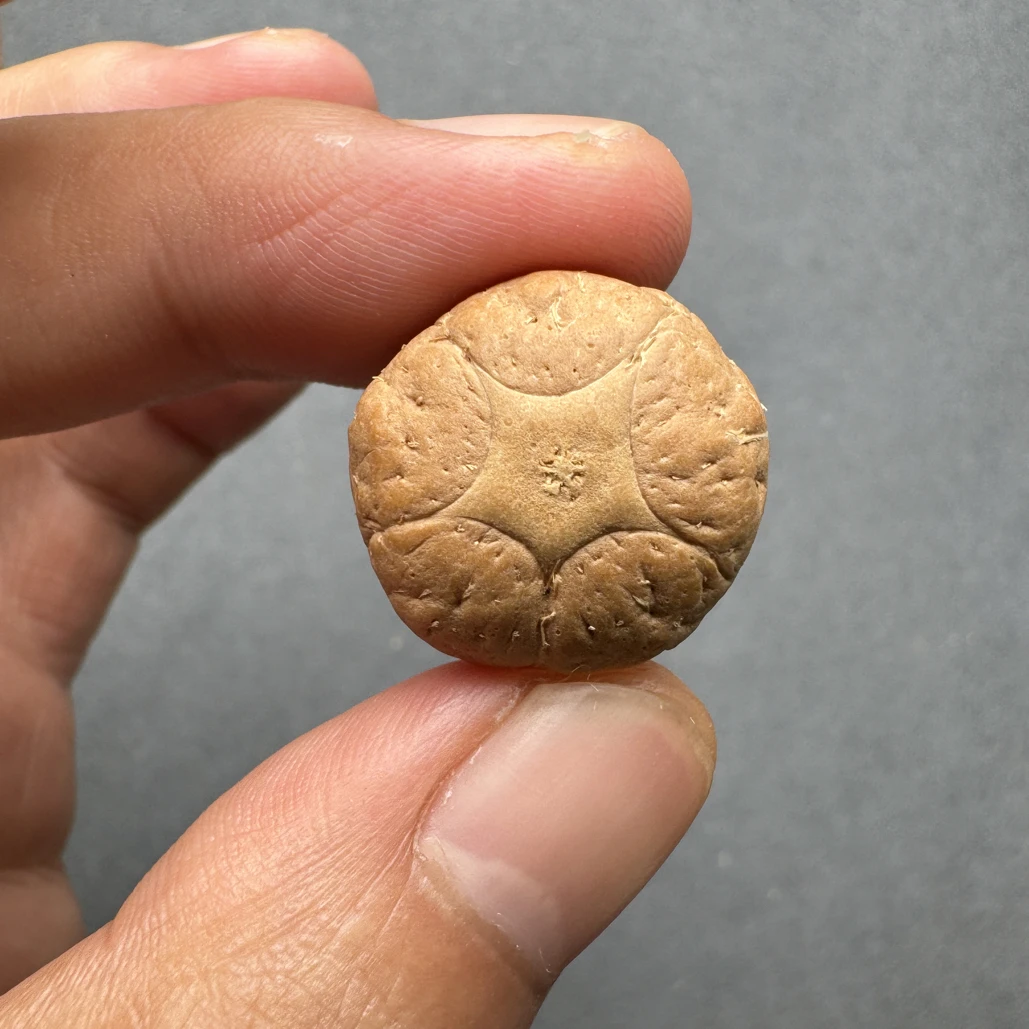 精品21+五星上将菩提凤眼菩提三通佛头，非质量问题开孔不退