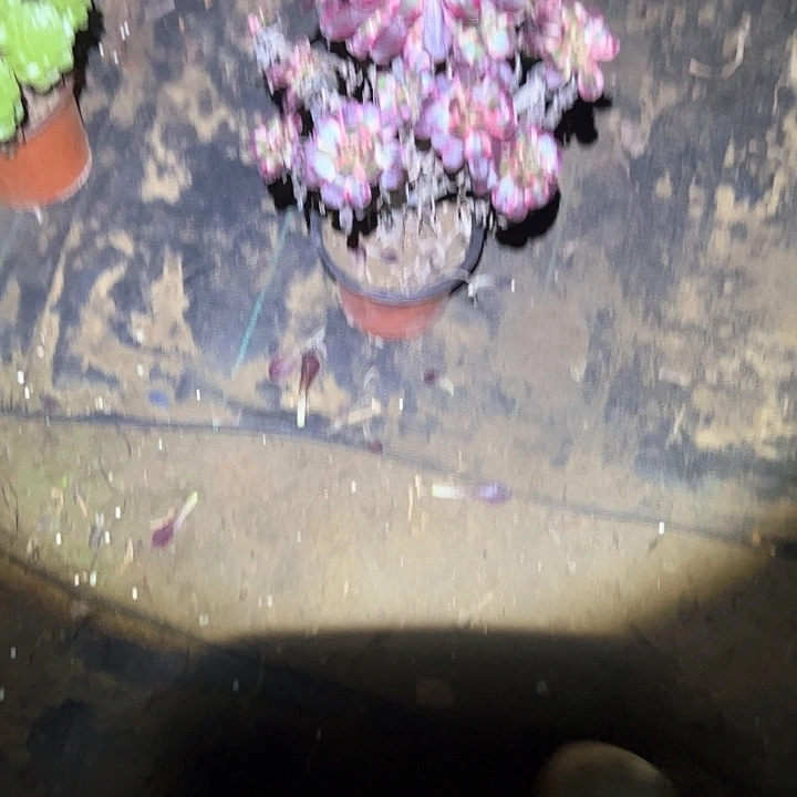 不售后法师一物一拍福利瑕疵22