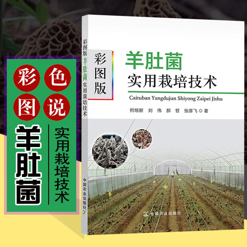 彩图版羊肚菌实用栽培技术 羊肚菌种植羊肚菌栽培新技术教程