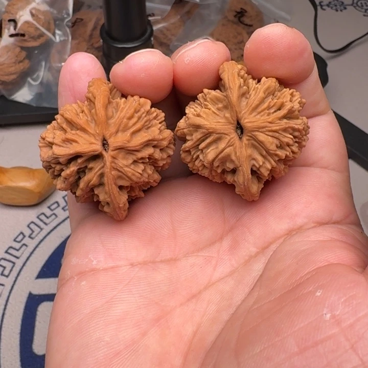把件桃核山地麦虎40尺15