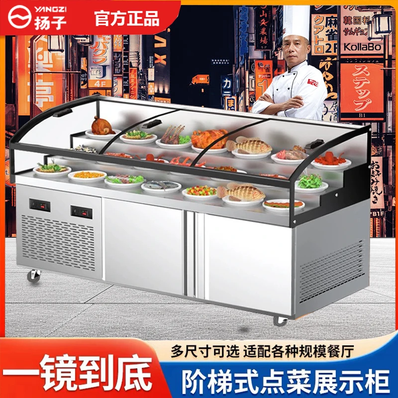扬子凉菜熟食卤菜商用冷藏冷冻保鲜展示柜烧烤冰柜串串点菜柜
