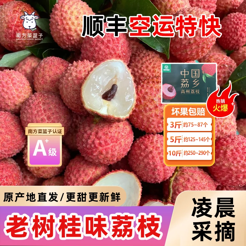 【空运或陆运特快】桂味荔枝礼盒装新鲜头茬现摘新鲜果核小肉厚清甜