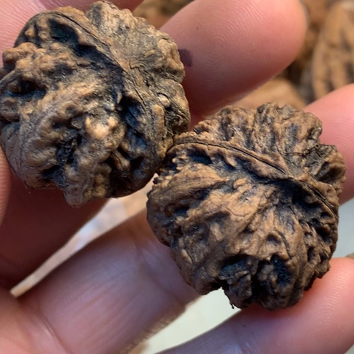 猴头核桃把件拿姐132