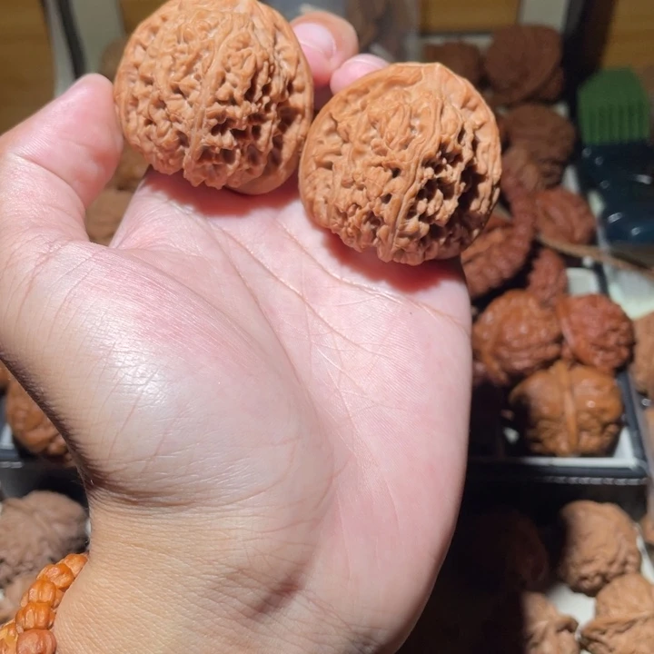 43南疆石狮子头狮子头，嘎巴板正