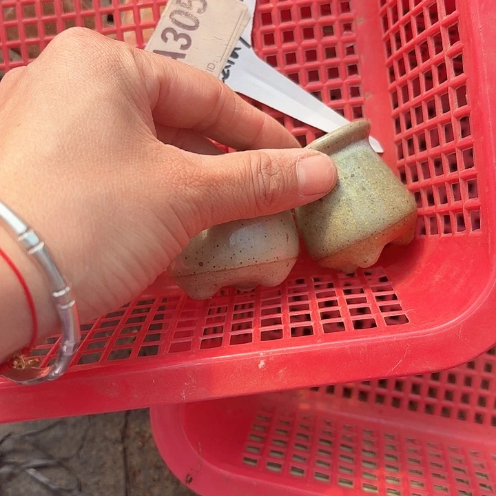 你****！zmxmdkkdkddk305