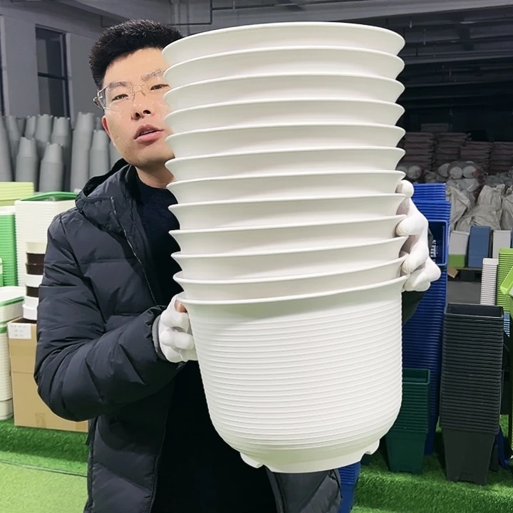 正品矮陶口30高21白色5只无托