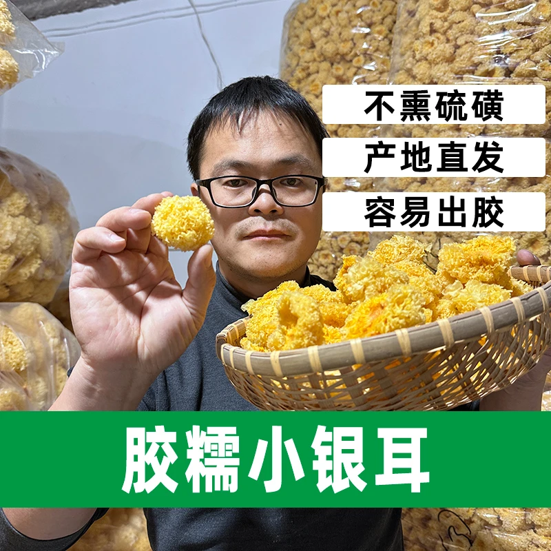 【古田小银耳】大菌师银耳新货糯耳羹出胶雪耳古田干货白木耳无硫