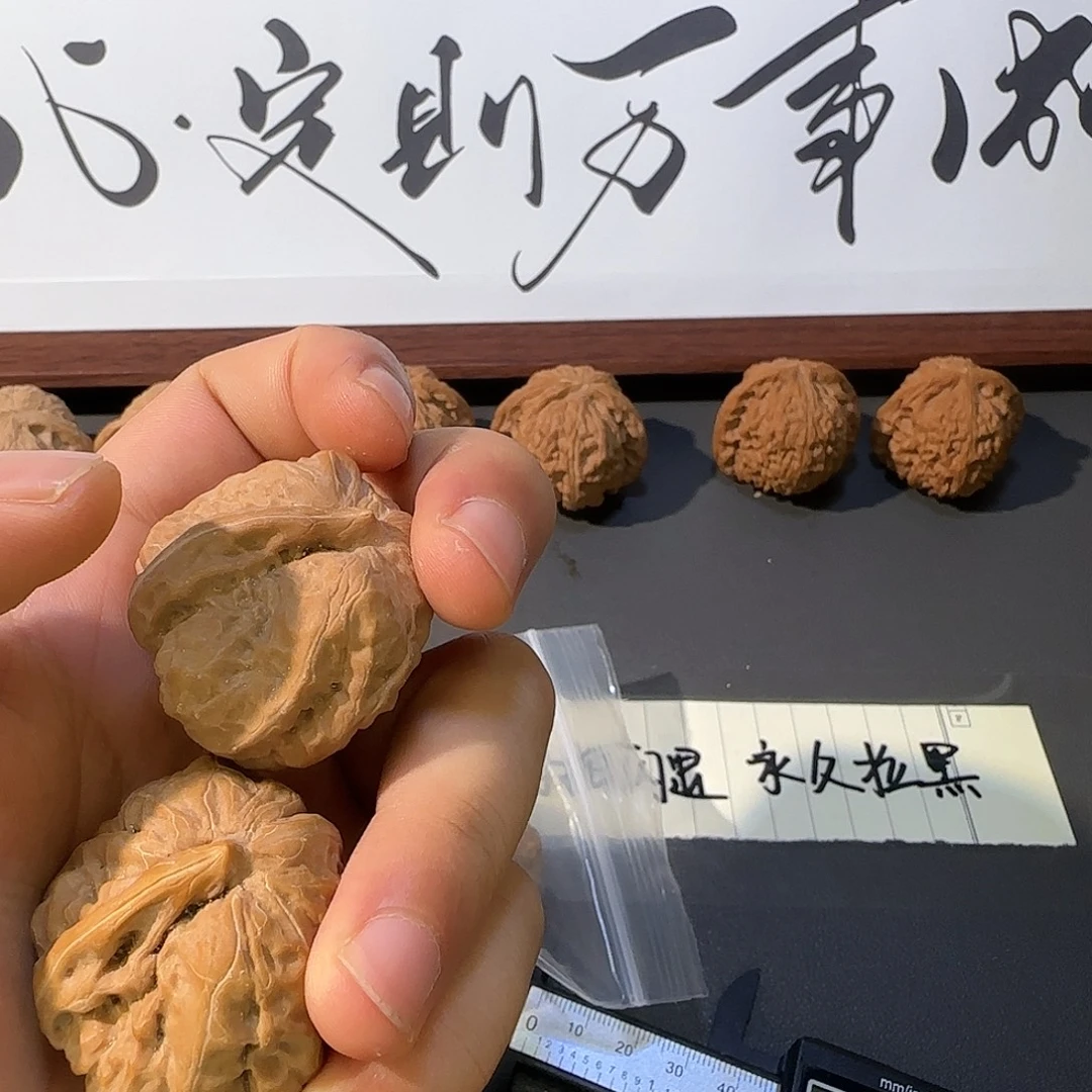 A***B吊坠桃核核桃核桃的