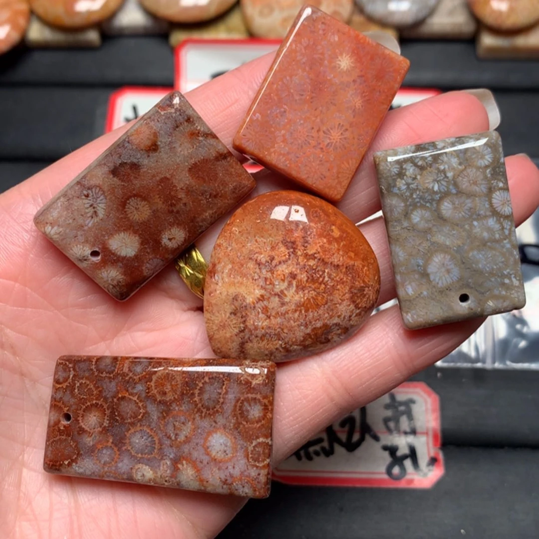 【闪购商品】硅化玉颈饰未镶嵌小*