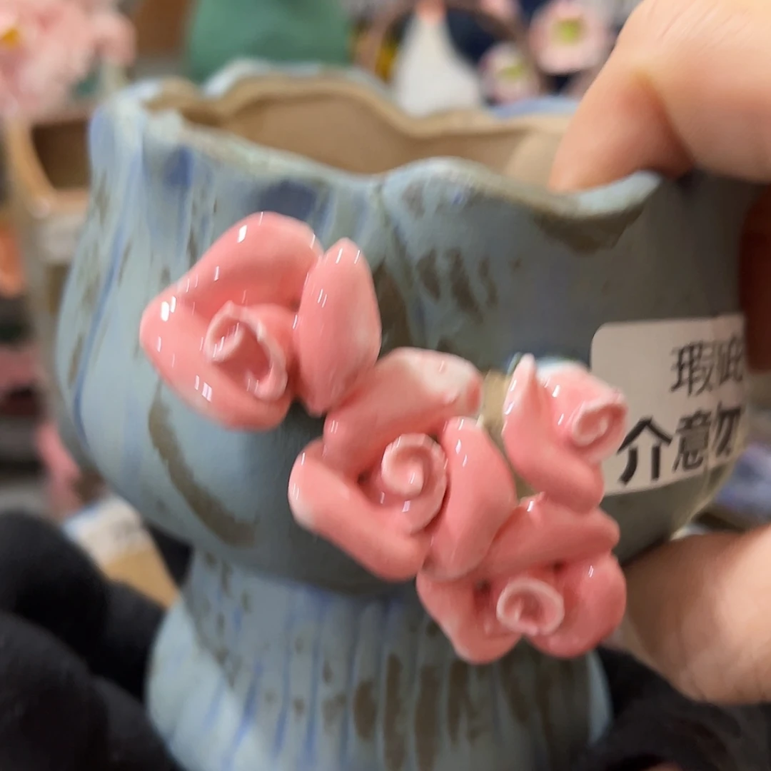 【闪购商品】红陶福利