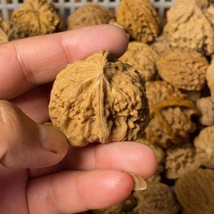 如***壹大叶紫檀（黑酸枝木类）