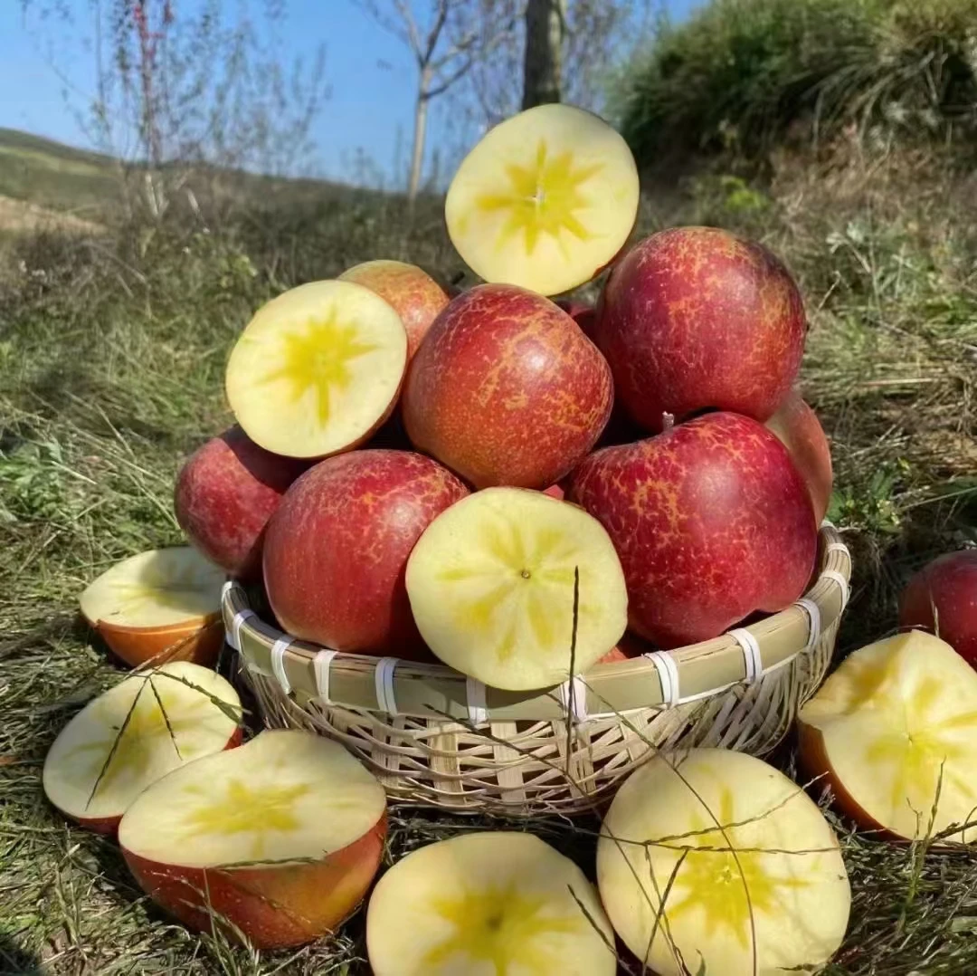 【偏冷地区保温箱发货净重8斤】云南昭通当季糖心丑苹果脆甜多汁