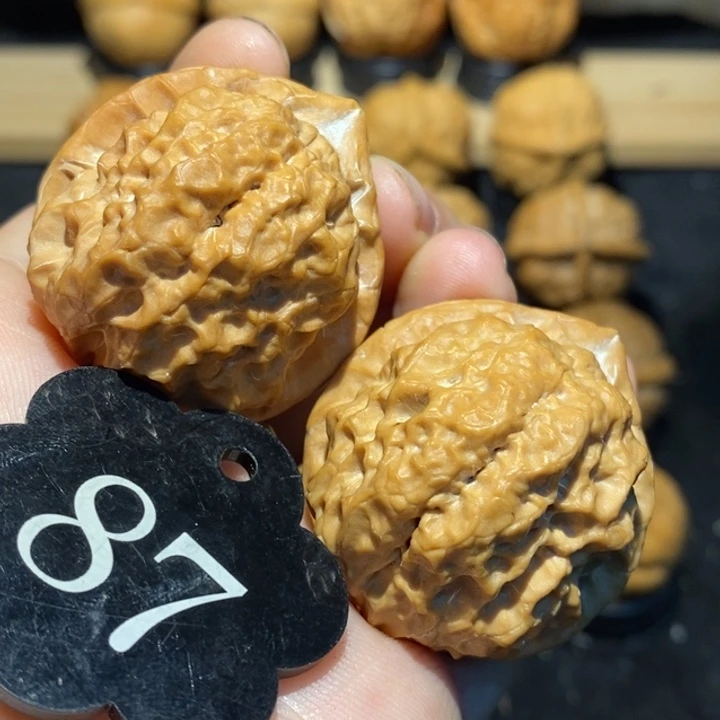 核桃舍利38尺寸核桃