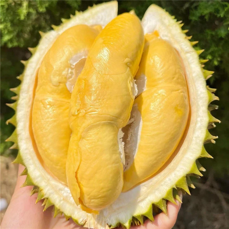 半夹特价福利单 核小新鲜现开2斤鲜果肉泰国金枕鲜榴莲（不售后）金枕泰国