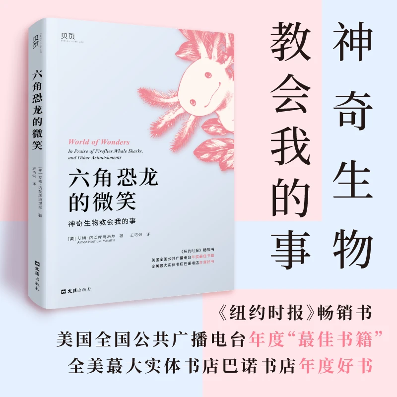 《六角恐龙的微笑》神奇生物教会我的事