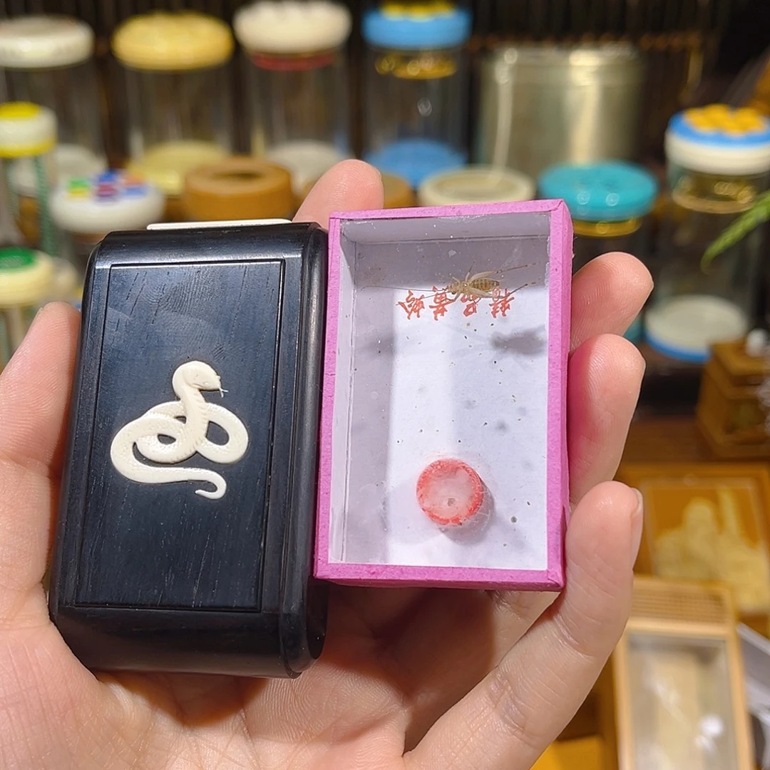 蟋蟀红木盒+黄蛉+麦片