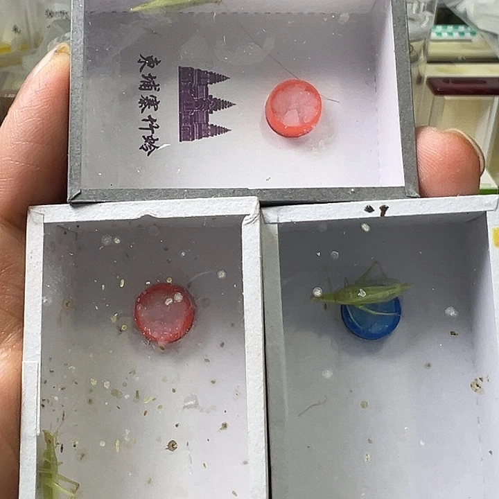 乌***拉哈哈哈哈哈哈哈哈哈哈