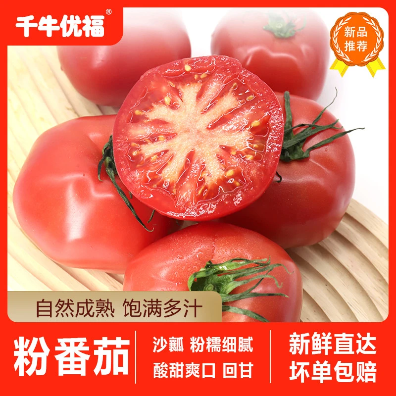 东访甄选桃太郎粉番茄小果水果西红柿2.5kg生吃自然熟蔬菜水果粉