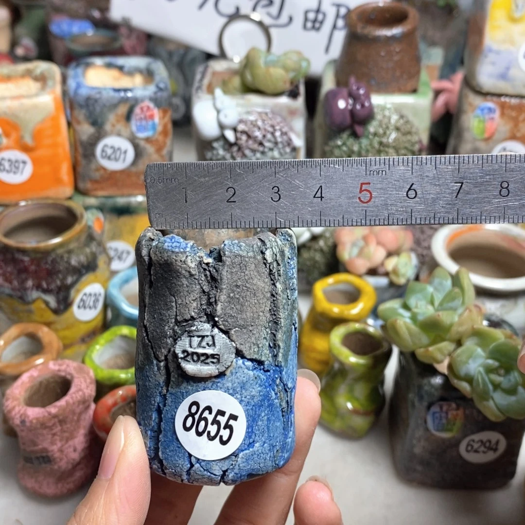 拍3送一个小礼物