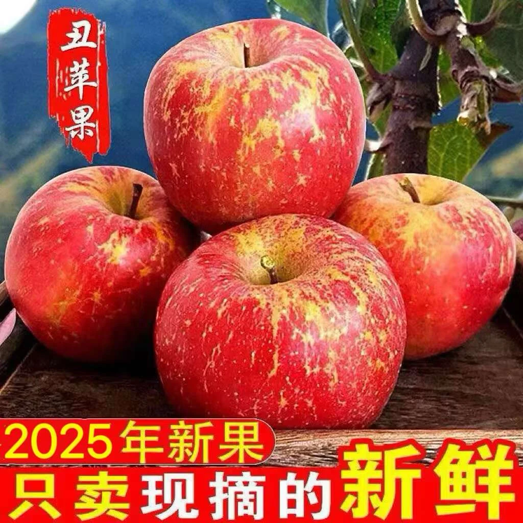 正宗云南昭通冰糖心丑苹果新鲜脆甜水果产地直发高原果园现摘应季
