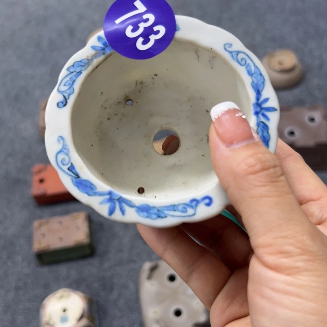 红陶有****红红火火过大年733