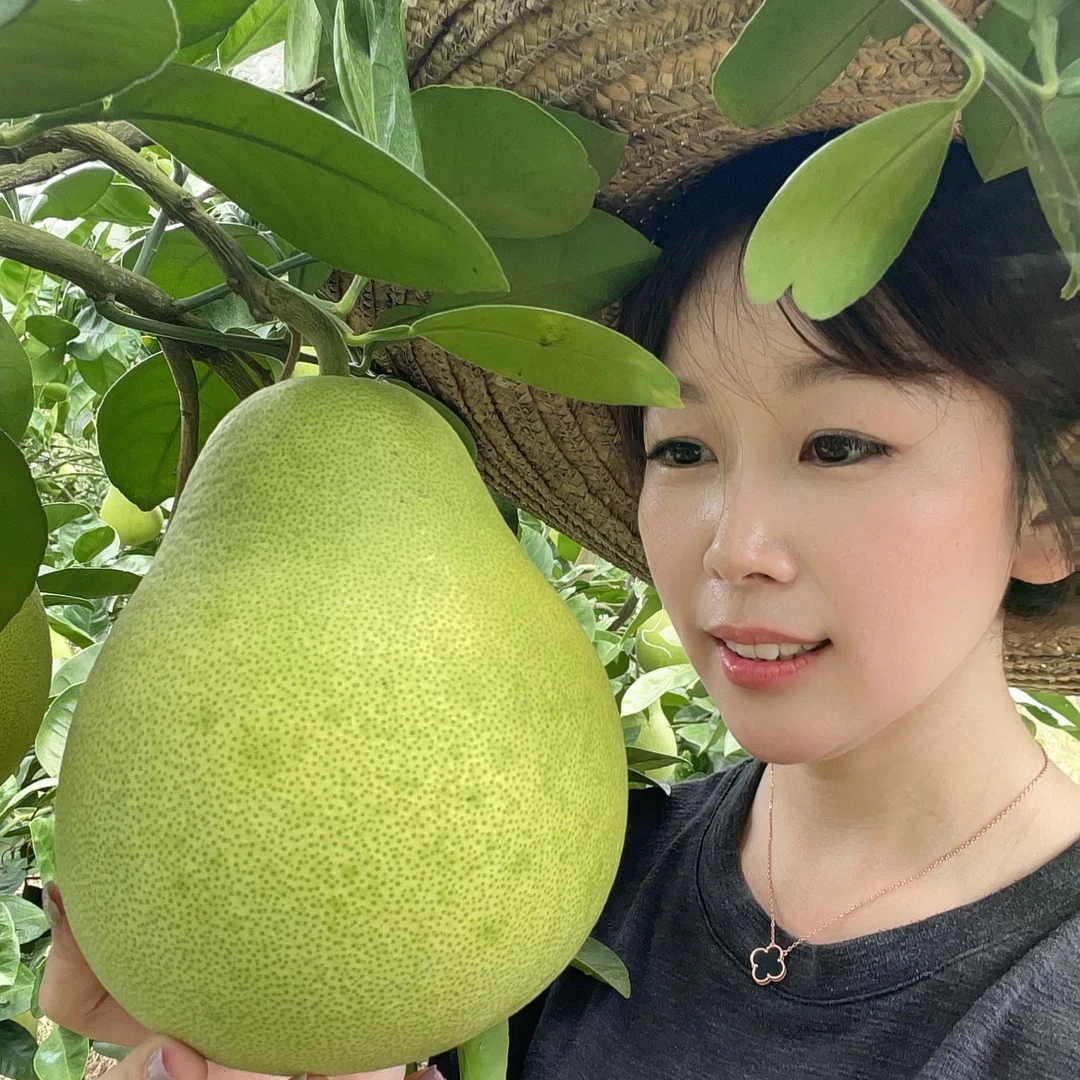 【精品果】【燕子归乡】正宗江西特产安福金兰柚清甜不酸 颗粒饱满