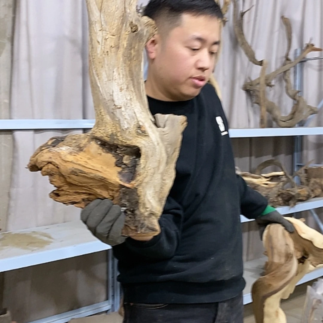 【闪购商品】柏木宽****心我们都是好孩子