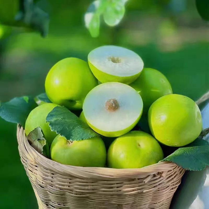 （卓影甄选）福建苹果枣脆蜜枣当季水果脆甜多汁