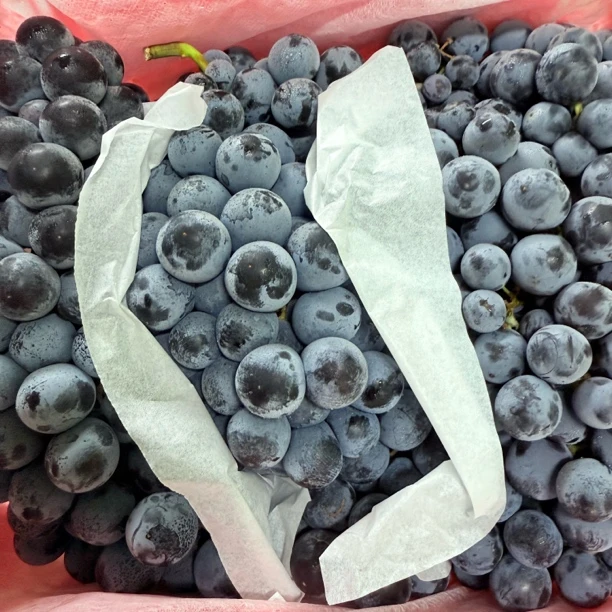 蓝莓夏黑葡萄一箱毛重约4.8斤安徽省