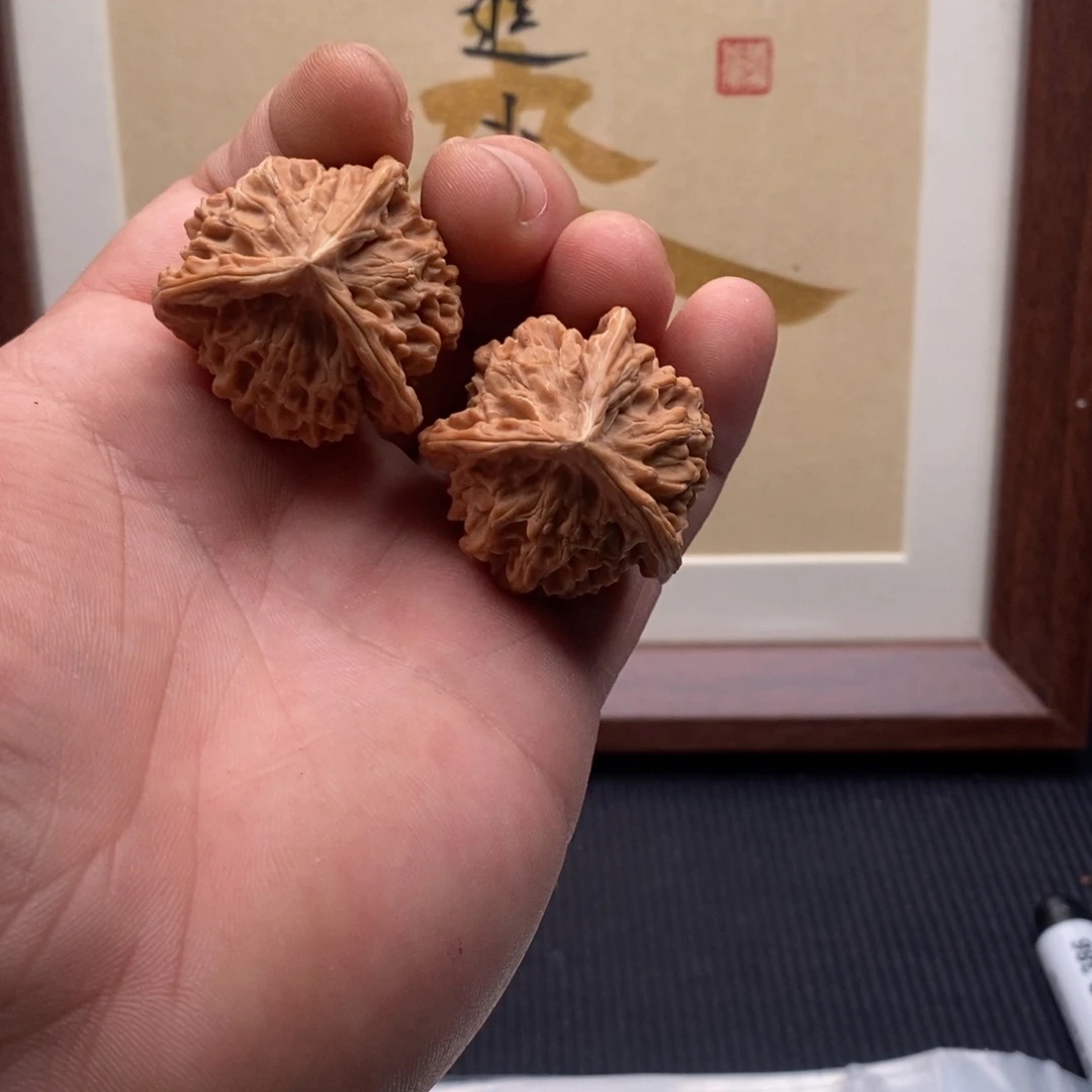 核桃哈哈哈哈哈哈哈哈哈哈