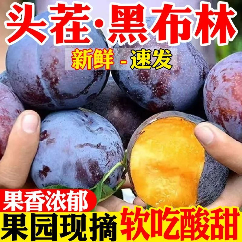 陕西现摘红心黑布林李子新鲜脆甜当季水果软硬两吃