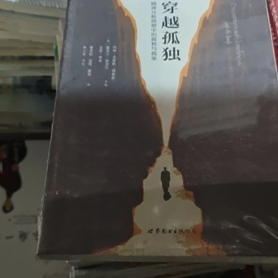 穿越孤独，瓶装务必塑封微瑕