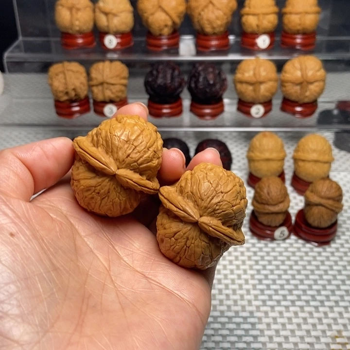 文玩核桃把件25金龟玉甲