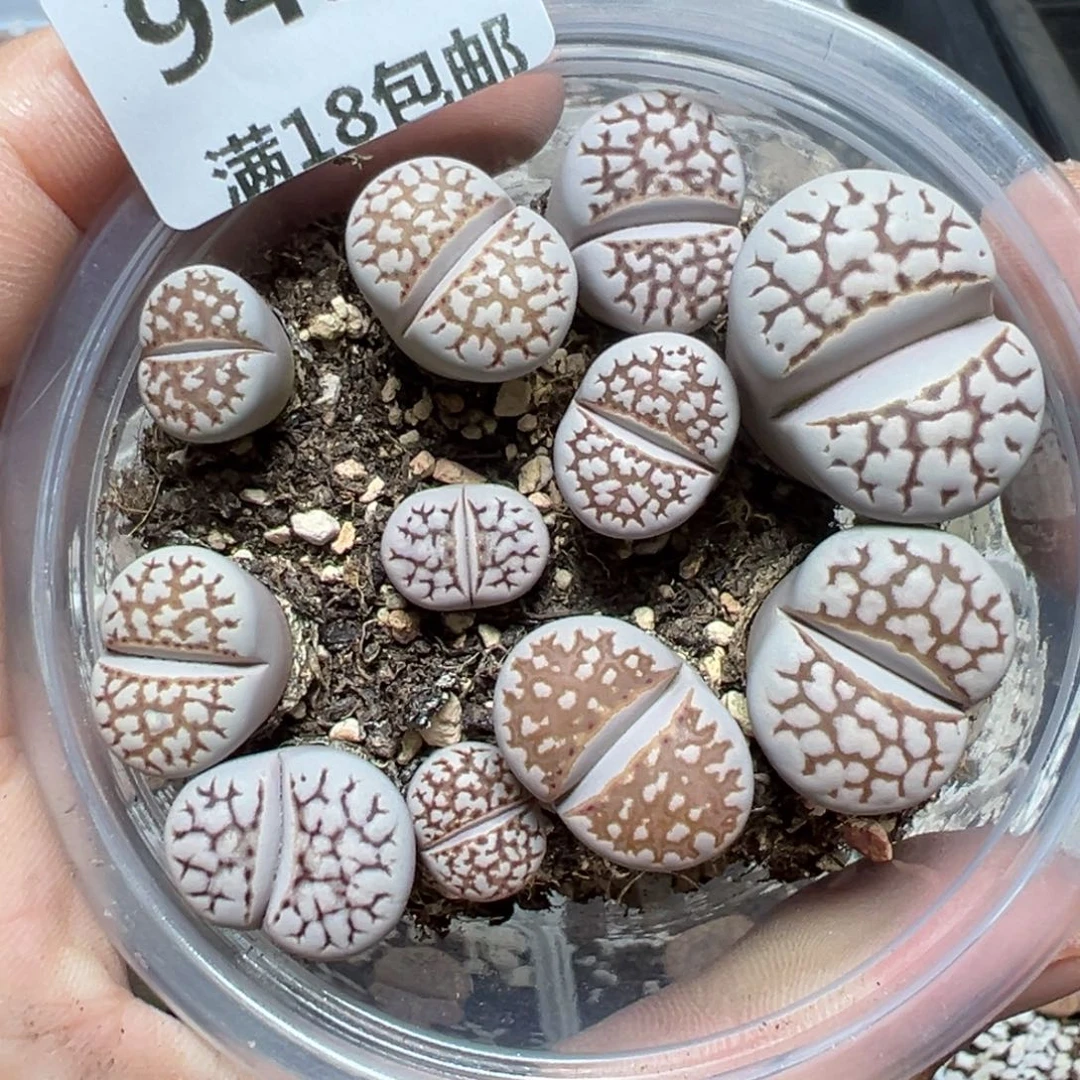 【闪购商品】943……