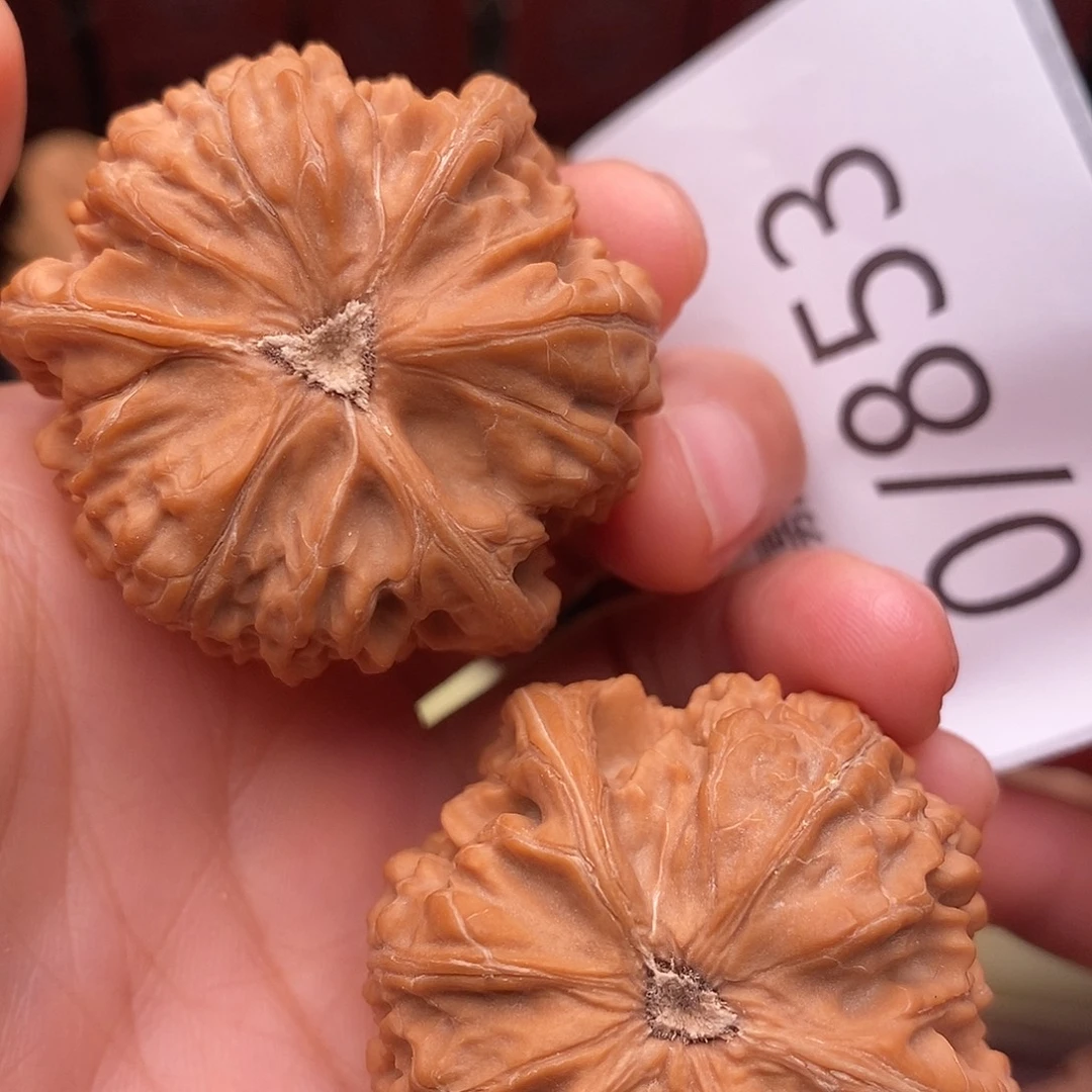 范***生文玩核桃把件御龙粗筋奔